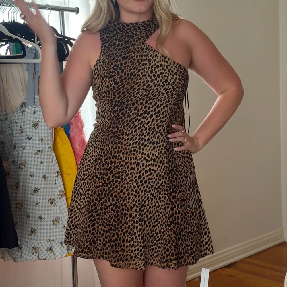 Reformation Leopard Print Mini Dress
